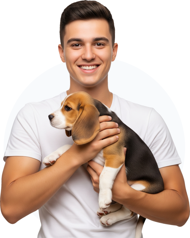 A Person Holding a Beagle Puppy